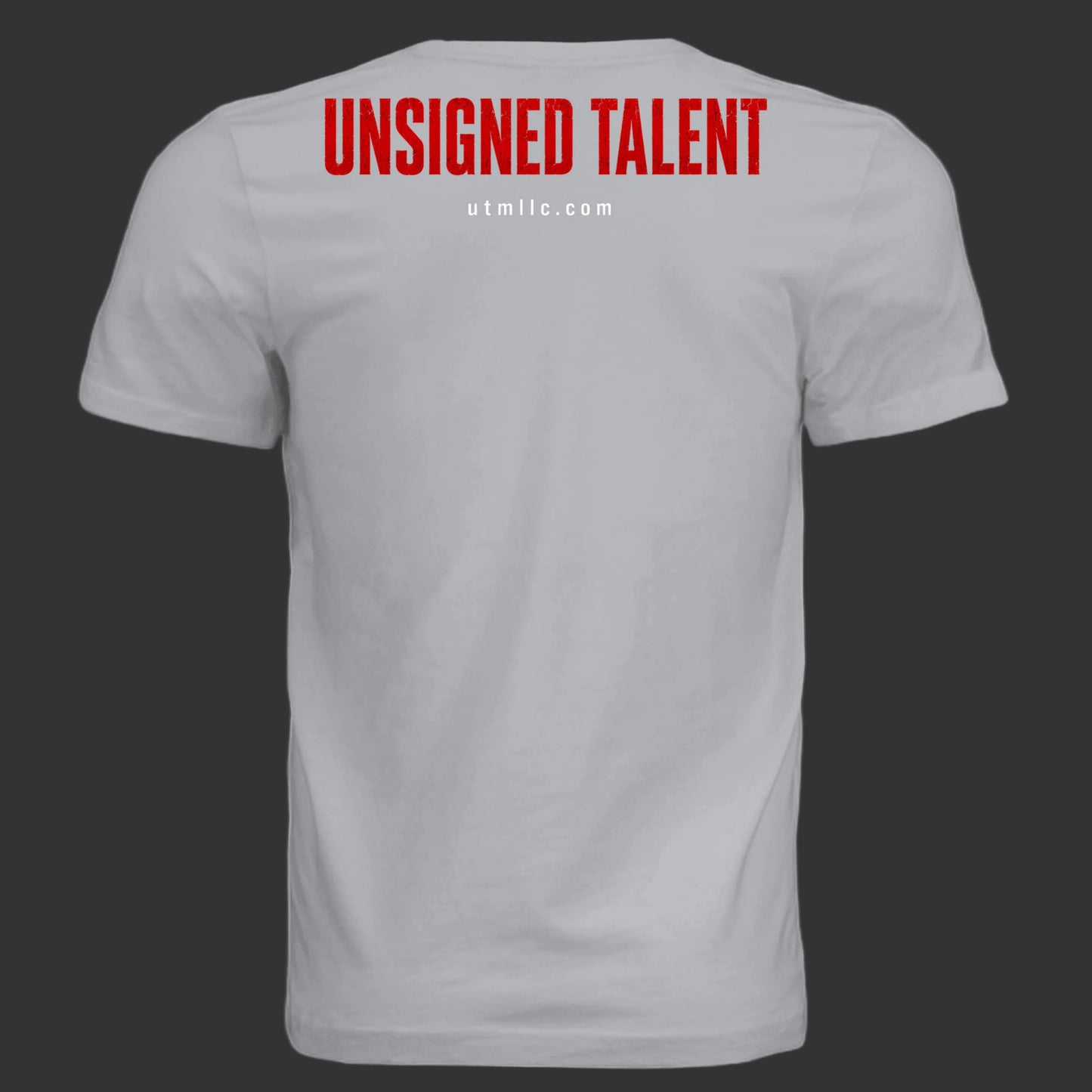 Solid Athletic Grey - 3001C - BACK
